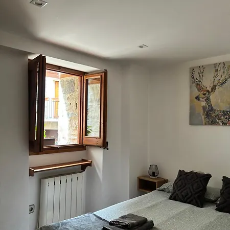 Cal Barracaire Apartament *
